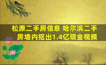 松原二手房信息 哈尔滨二手房墙内抠出1.4亿现金视频